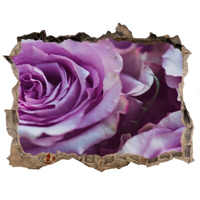 Fototapeta nálepka na zeď Fialové růže