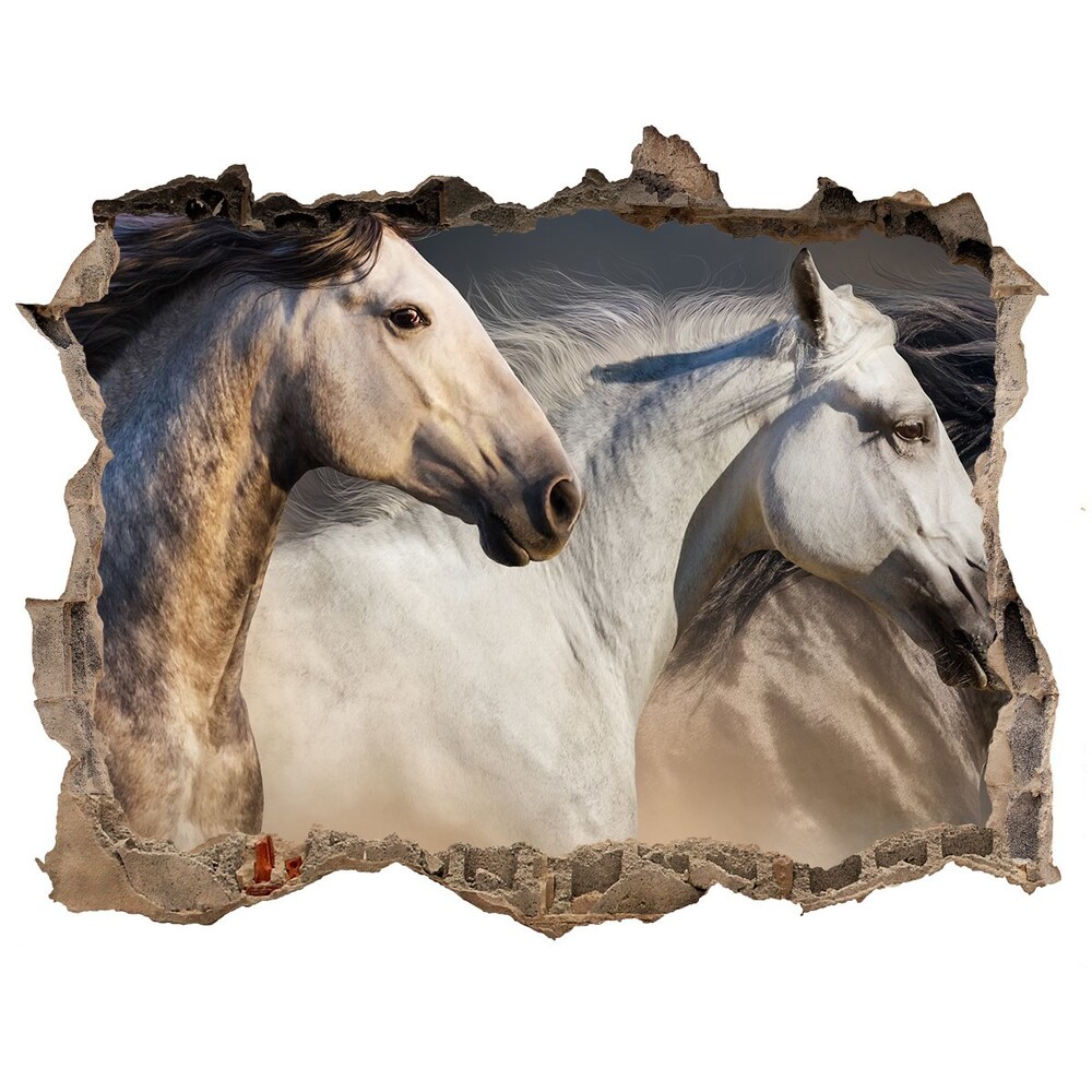 Díra 3D fototapeta nálepka Koně ve cvalu