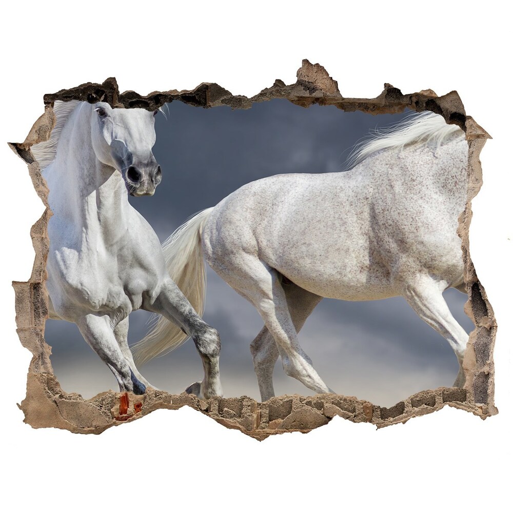 Díra 3D fototapeta na stěnu Bílí koně pláž
