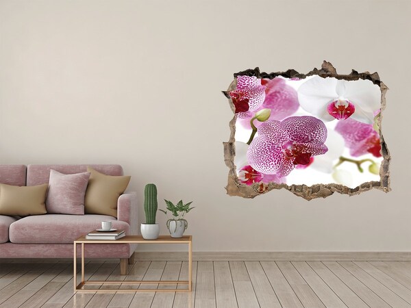 Fototapeta nálepka na zeď Fototapeta orchidej