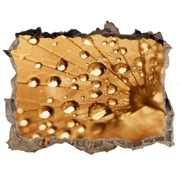 Samolepící nálepka fototapeta Kapky na listu