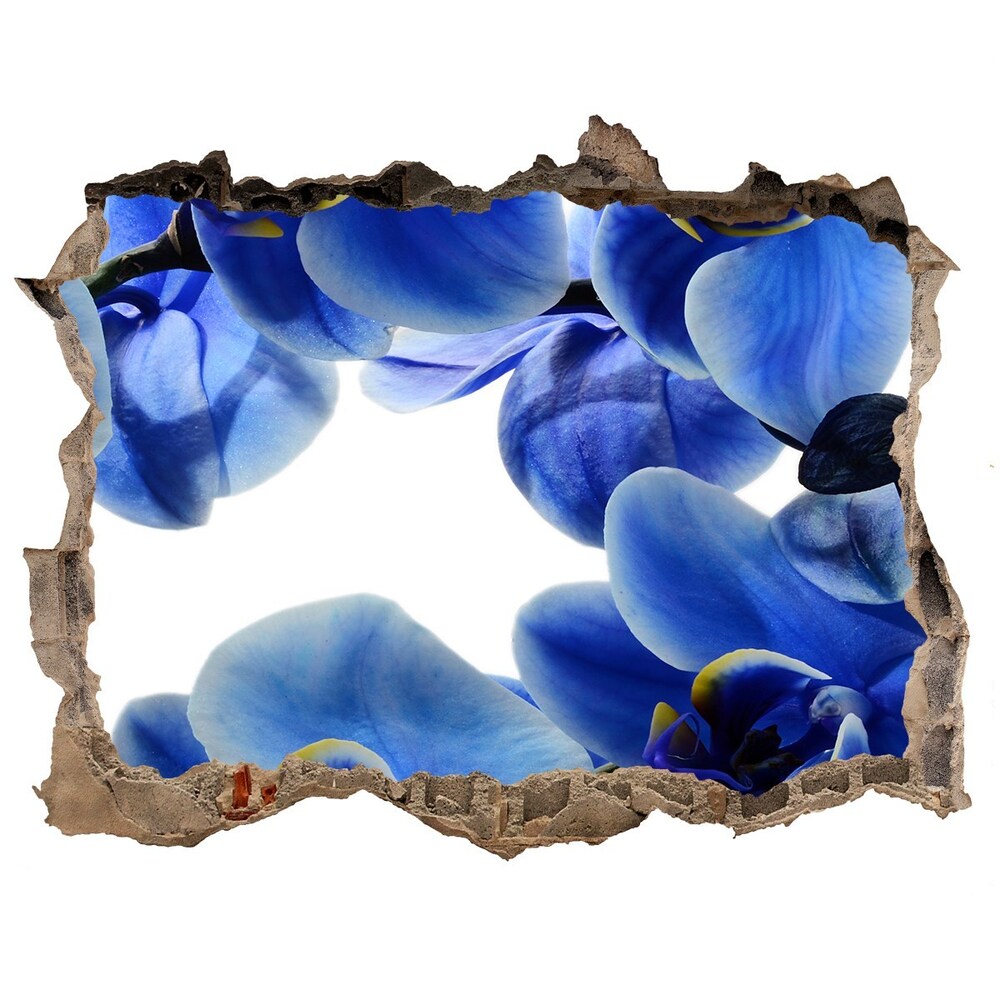 Fototapeta nálepka na zeď Modrá orchidej