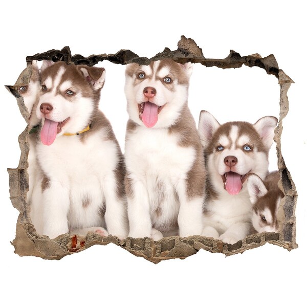 Díra 3D fototapeta nálepka Štěně Husky