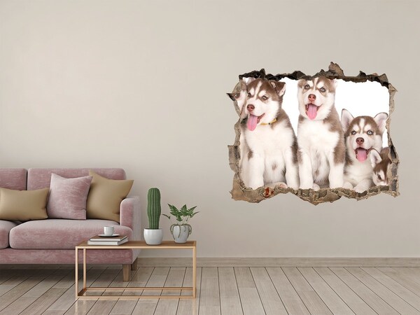 Díra 3D fototapeta nálepka Štěně Husky