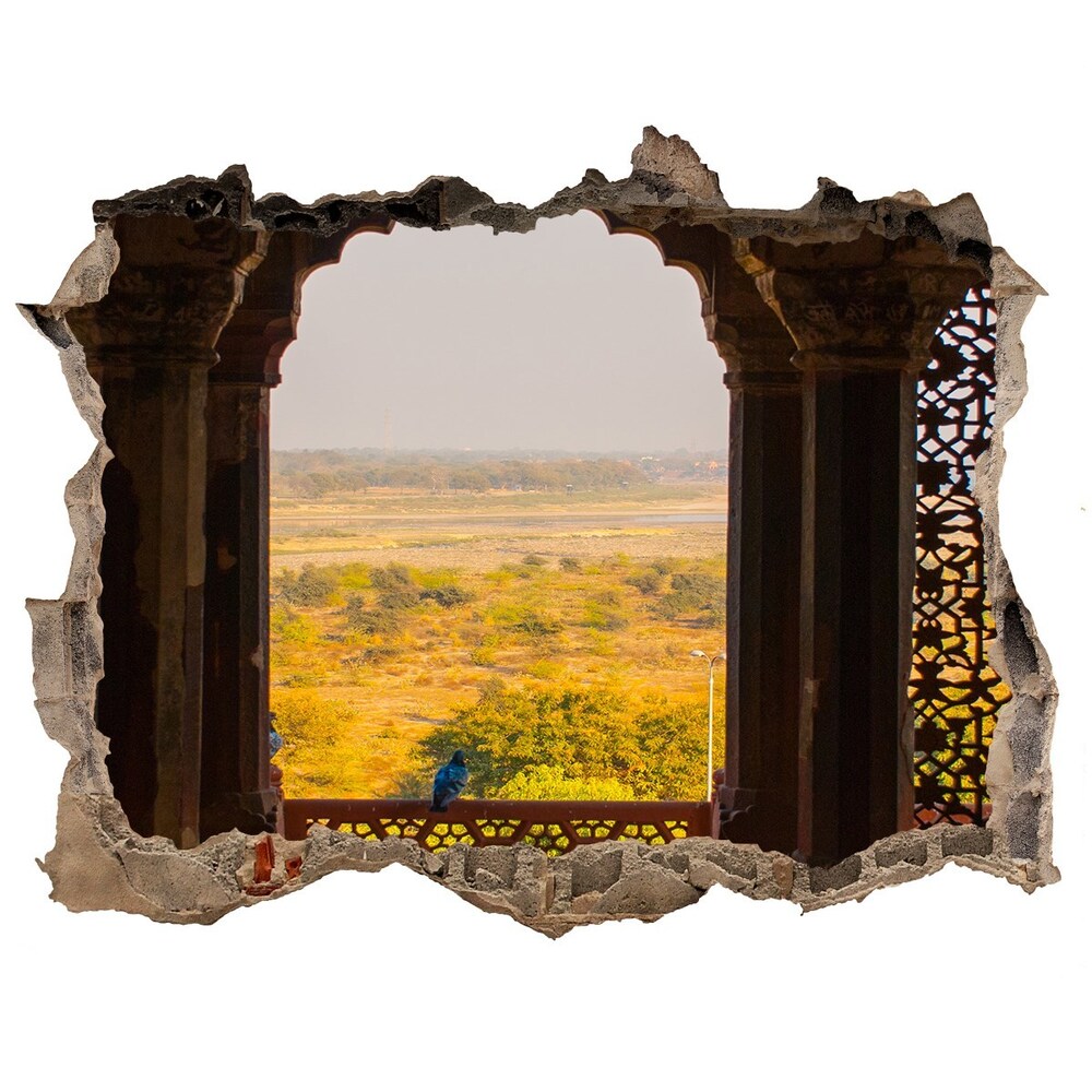 Fototapeta díra na zeď Fort Agra Indie