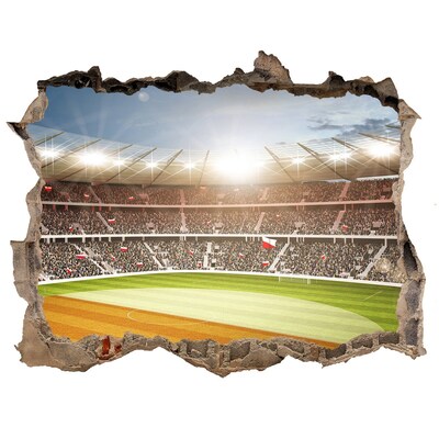 Fototapeta díra na zeď 3D Stadion v akci