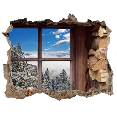 Fototapeta díra na zeď Zima za oknem