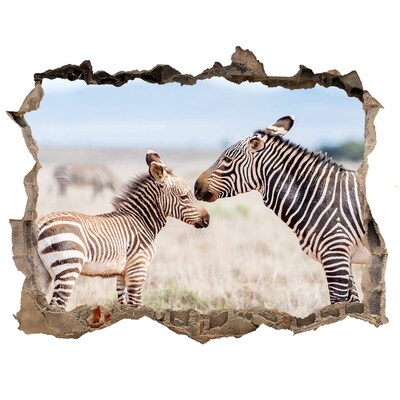 Díra 3D fototapeta na stěnu Zebry ve volné přírodě