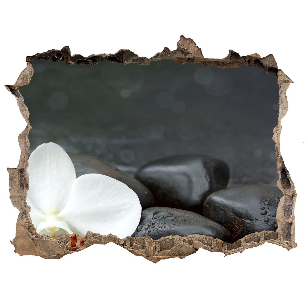 Samolepící nálepka fototapeta Orchidej