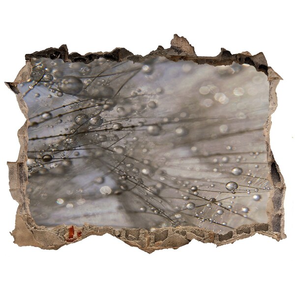 Samolepící nálepka na zeď Kapky vody na skle