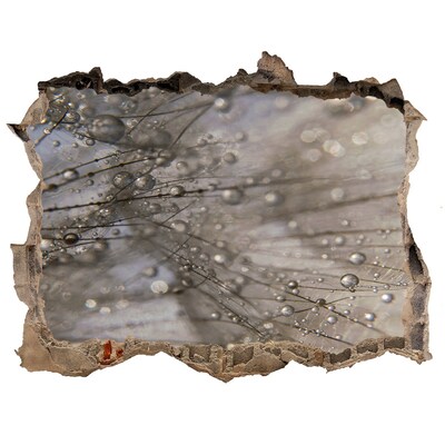 Samolepící nálepka na zeď Kapky vody na skle