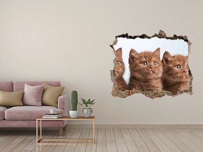 Díra 3D fototapeta na stěnu Kočičky na ručníku