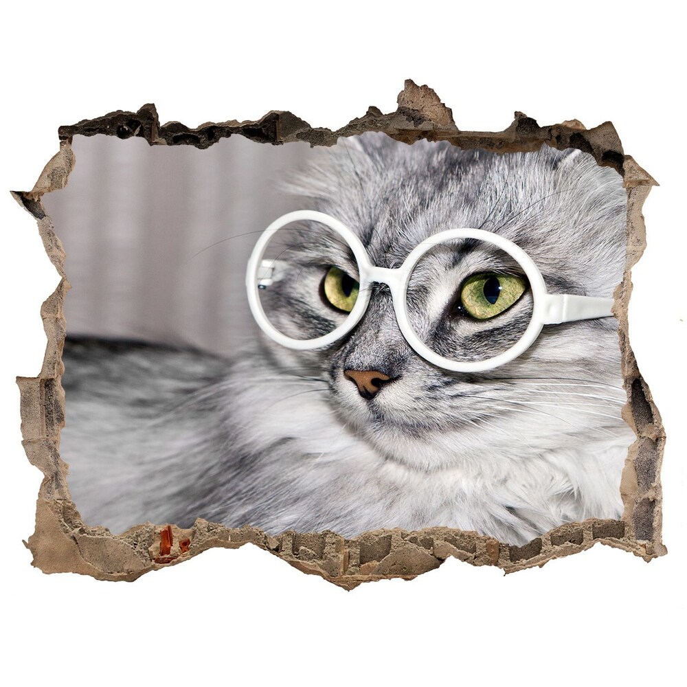 Díra 3D fototapeta nálepka Kočka v brýlích