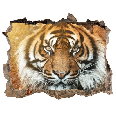 Díra 3D fototapeta na stěnu Bengálský tygr