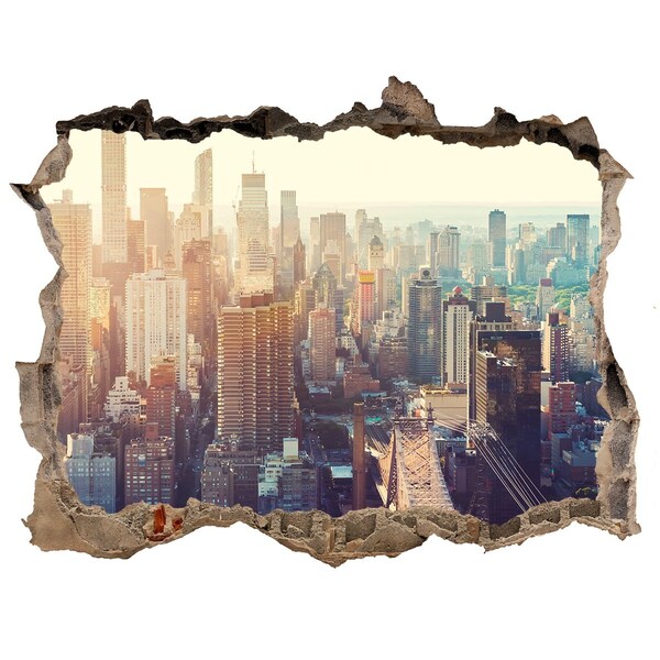 Fototapeta díra na zeď Pohled z díry ve zdi