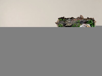 Fototapeta díra na zeď Tygr v jeho přirozeném prostředí