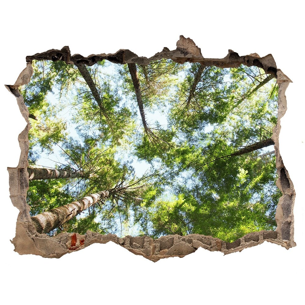 Díra 3D ve zdi na stěnu Koruna stromů