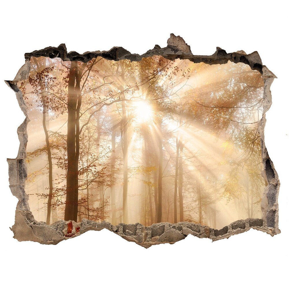 Díra 3D ve zdi nálepka Mlha v lese podzim