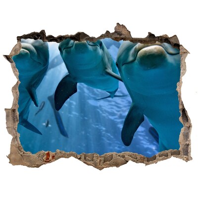 Díra 3D fototapeta na stěnu Podvodní svět s delfíny