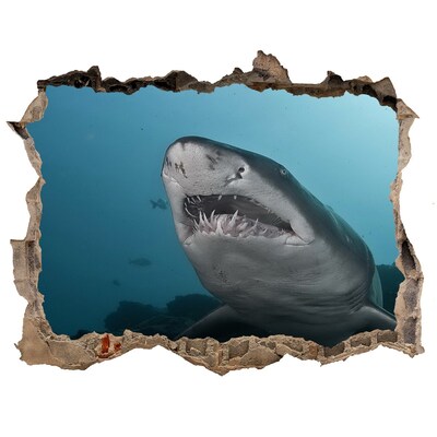 Díra 3D fototapeta nálepka Velký žralok