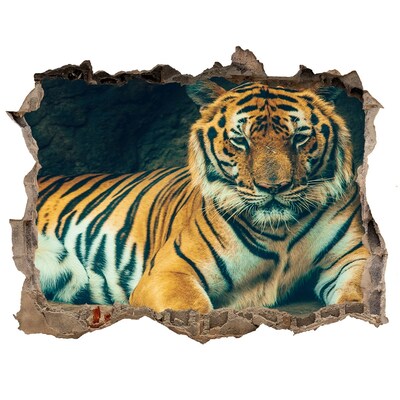 Díra 3D fototapeta nálepka Tygr v jeskyni