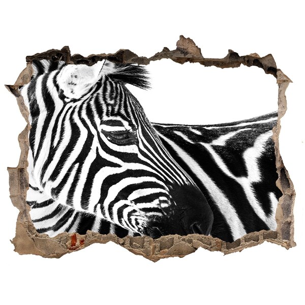 Díra 3D fototapeta nálepka Zebra v díře ve zdi