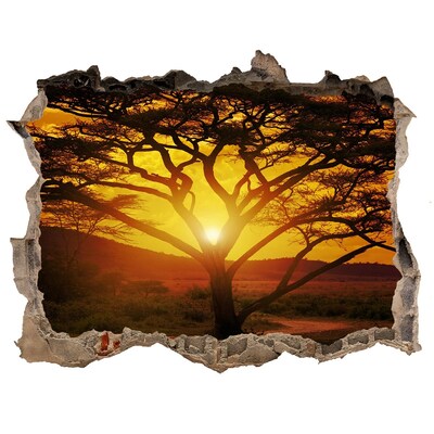 Díra 3D ve zdi nálepka Západ slunce Afrika