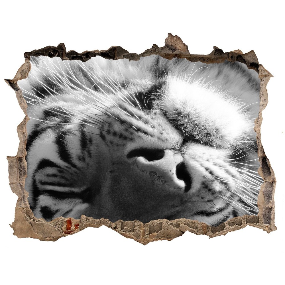 Díra 3D fototapeta nálepka Spící tygr
