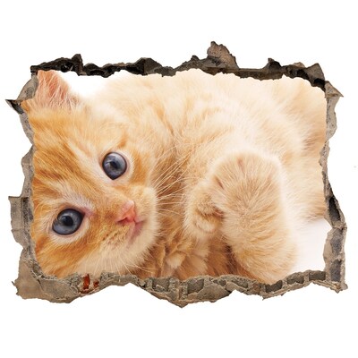 Díra 3D fototapeta nálepka Kočka v díře ve zdi