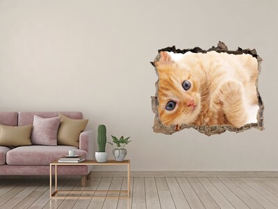 Díra 3D fototapeta nálepka Kočka v díře ve zdi