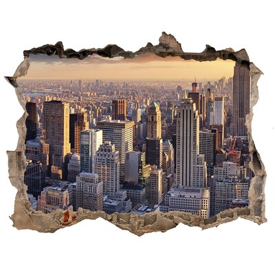 Fototapeta díra na zeď 3D New York z ptačího pohledu