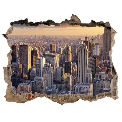 Fototapeta díra na zeď 3D Pohled na New York