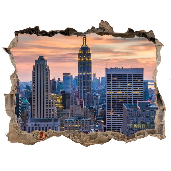 Fototapeta díra na zeď 3D Pohled na New York
