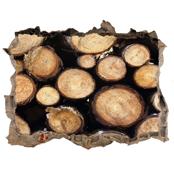 Samolepící nálepka na zeď Dřevo v díře ve zdi