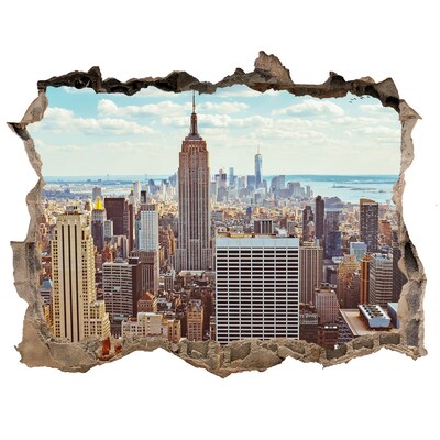 Fototapeta díra na zeď 3D Pohled na New York
