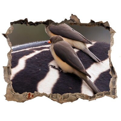 Díra 3D fototapeta nálepka Ptáci na hřbetě zebry