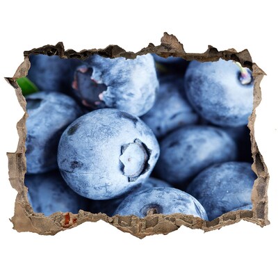 Nálepka 3D díra Bobule v betonové díře