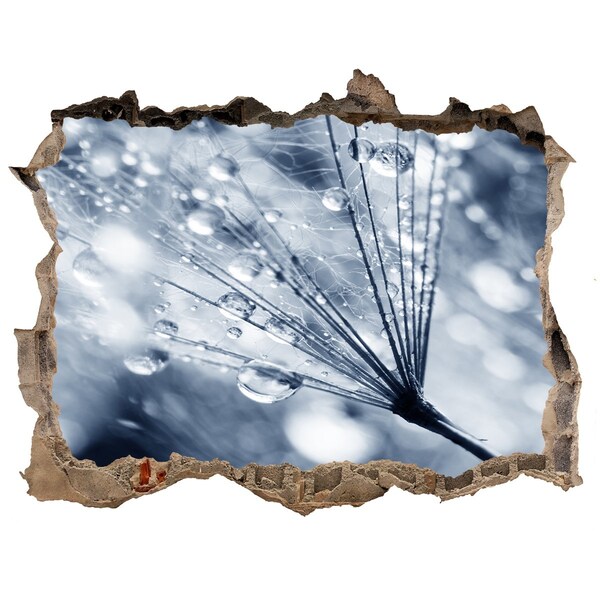 Samolepící nálepka Kapky rosy na pampelišce