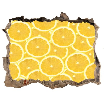 Samolepící nálepka Plátky citronu