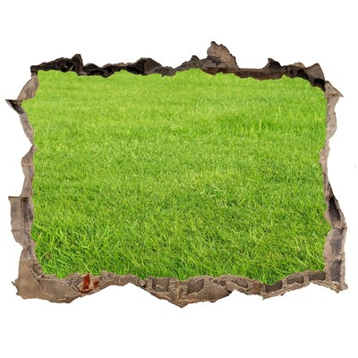 Díra 3D ve zdi nálepka Zelená tráva