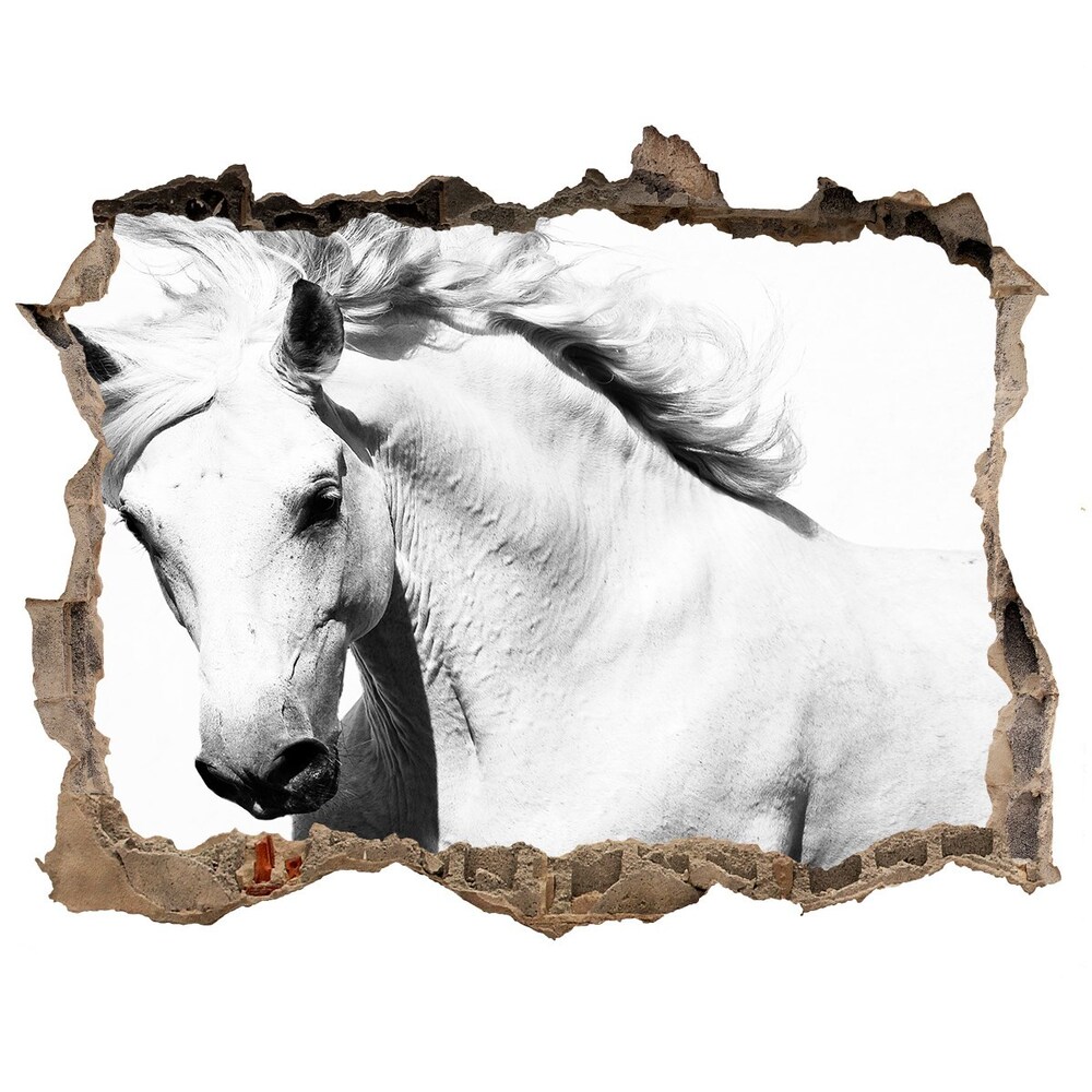 Fototapeta díra na zeď Bílý kůň