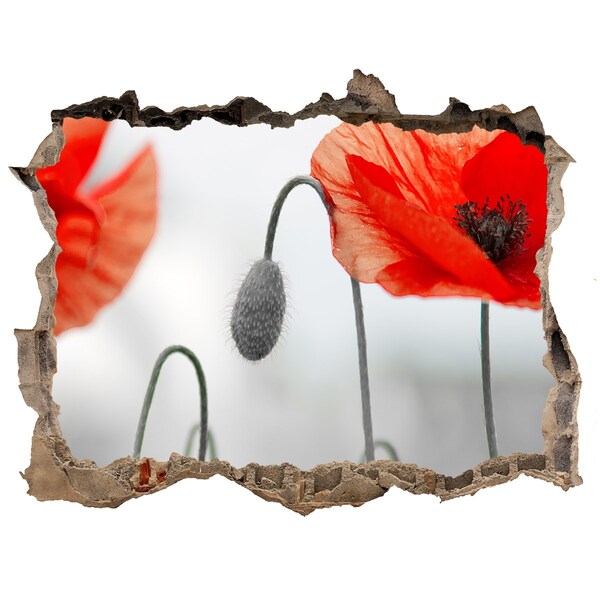 Samolepící nálepka na zeď fototapeta Květiny v díře ve zdi