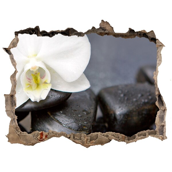 Samolepící nálepka fototapeta Květiny a kameny v lázních