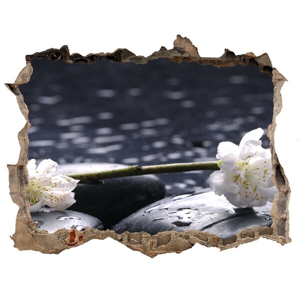 Samolepící nálepka fototapeta Květiny na kamenech