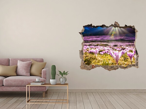 Díra 3D ve zdi nálepka Květinové pole na slunci