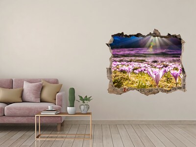 Díra 3D ve zdi nálepka Květinové pole na slunci