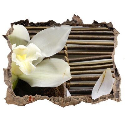 Fototapeta nálepka na zeď Květinová oáza mezi kameny