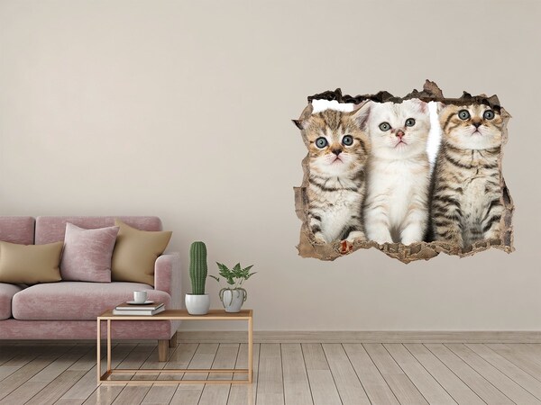 Díra 3D fototapeta nálepka Koťátka