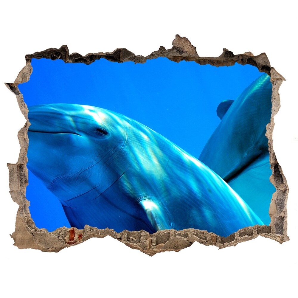 Díra 3D fototapeta nástěnná Dva delfíni
