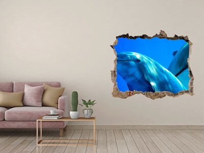 Díra 3D fototapeta nástěnná Dva delfíni